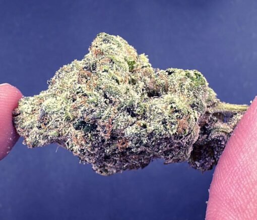 Buy Pistachio Gelato High End Exotic