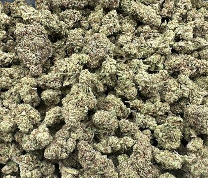 Kaufen Sie die Cannabissorte Alien Cookies