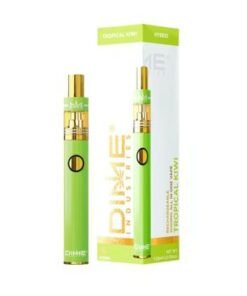 Kaufen Sie Dime Industries Tropical Kiwi 1g Einweg-Vape
