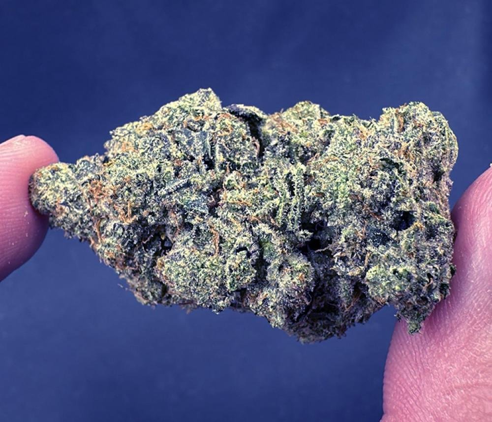 Buy Sour OG Hybrid Cannabis