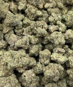 Sour OG Hybrid Cannabis kaufen